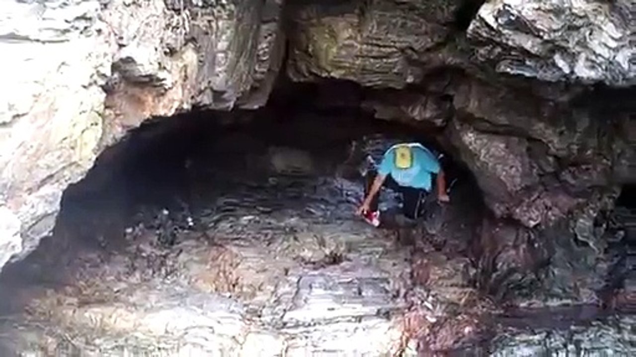 Attack of The Bug Cave!