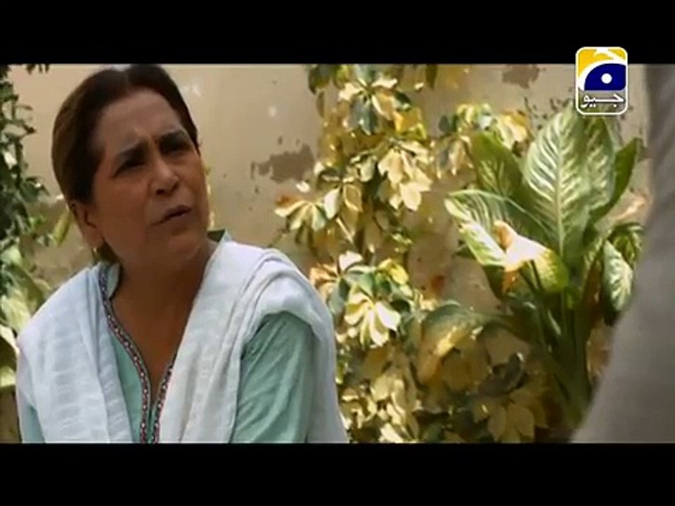 Dil Ishq Episode 24 Full on Geo tv 2nd December 2015