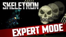 Terraria 1.3 - Skeleteron Expert Mode!