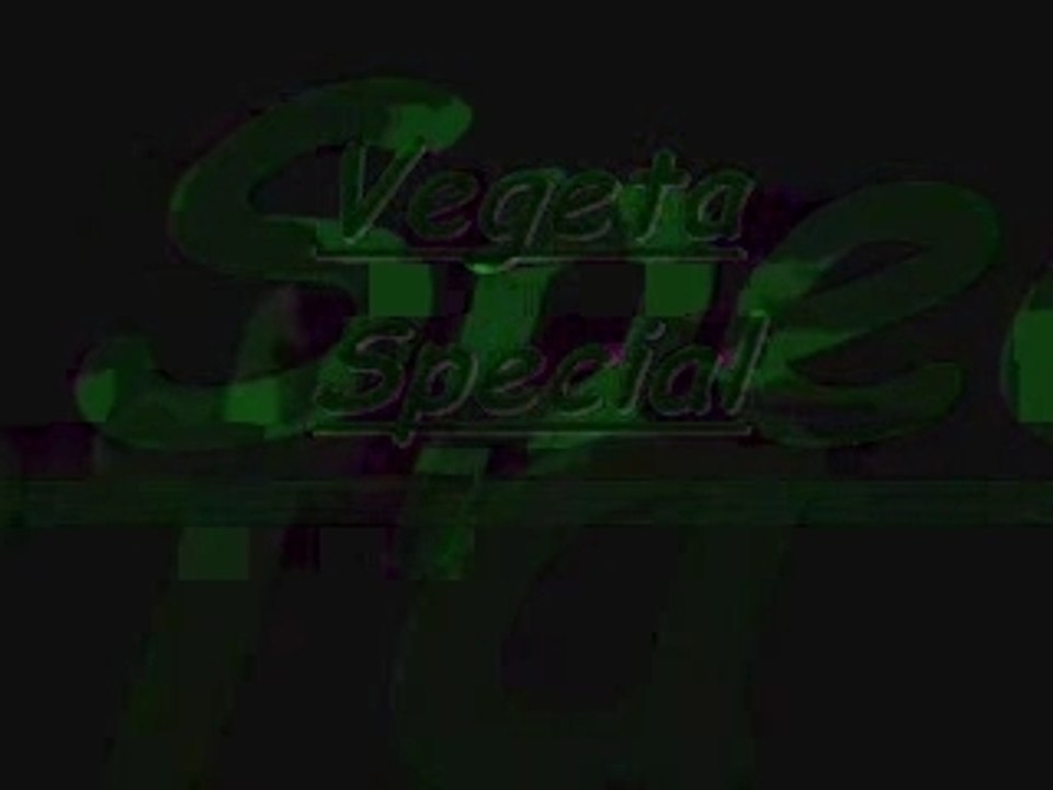 Vegeta special
