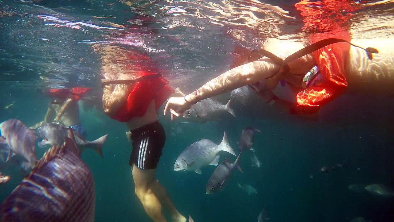 Puerto Vallarta