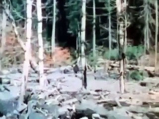 Encounters With Monsters SCARIEST Paranormal Documentary