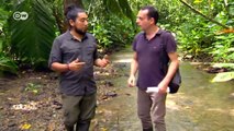 Costa Rica: salvar la selva | Global 3000