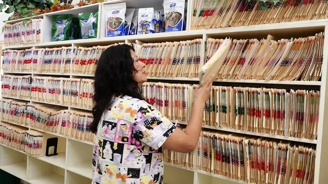 Welcome to Oak Park Veterinary Clinic