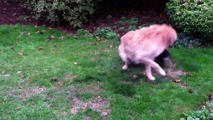 НИЧЕГО, ЧТО Я МАЛЕНЬКИЙ, ЗАТО ХРАБРЫЙ И СИЛЬНЫЙ