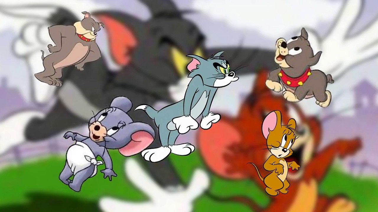 Finger Family Tom and Jerry Finger Family Cat Tom and Jerry Cartoon Nursery Rhymes