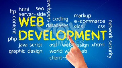 Dịch vụ thiết kế website tại hải phòng -  IOP Việt Nam