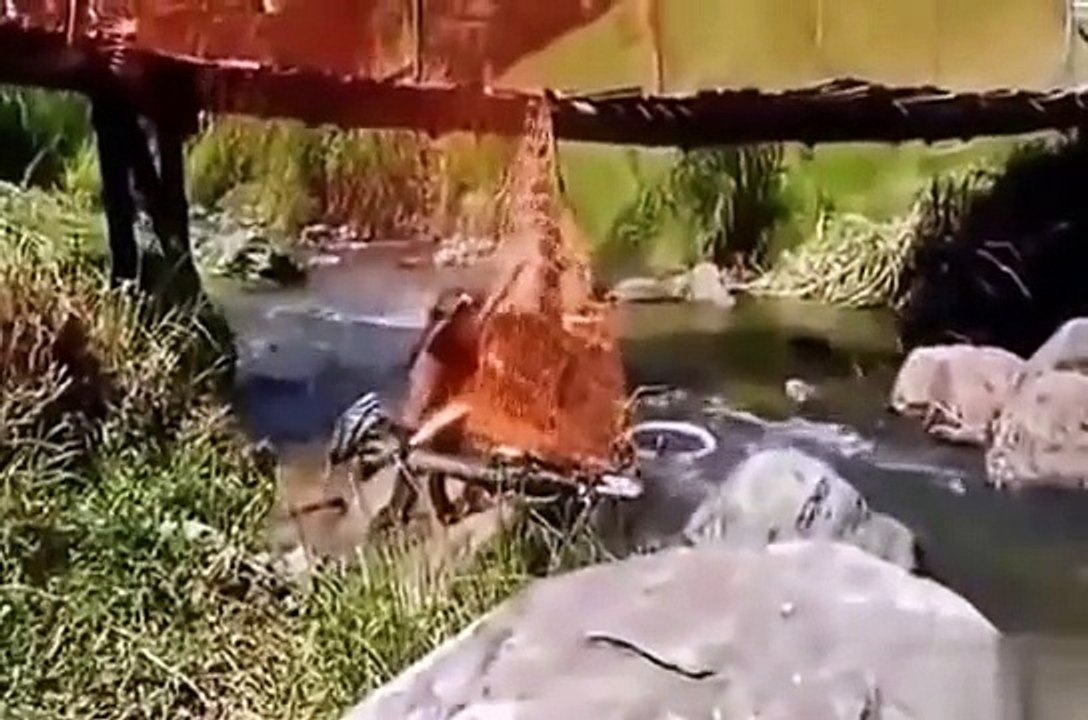 Selection of funny videos Funny videos 2015 2015