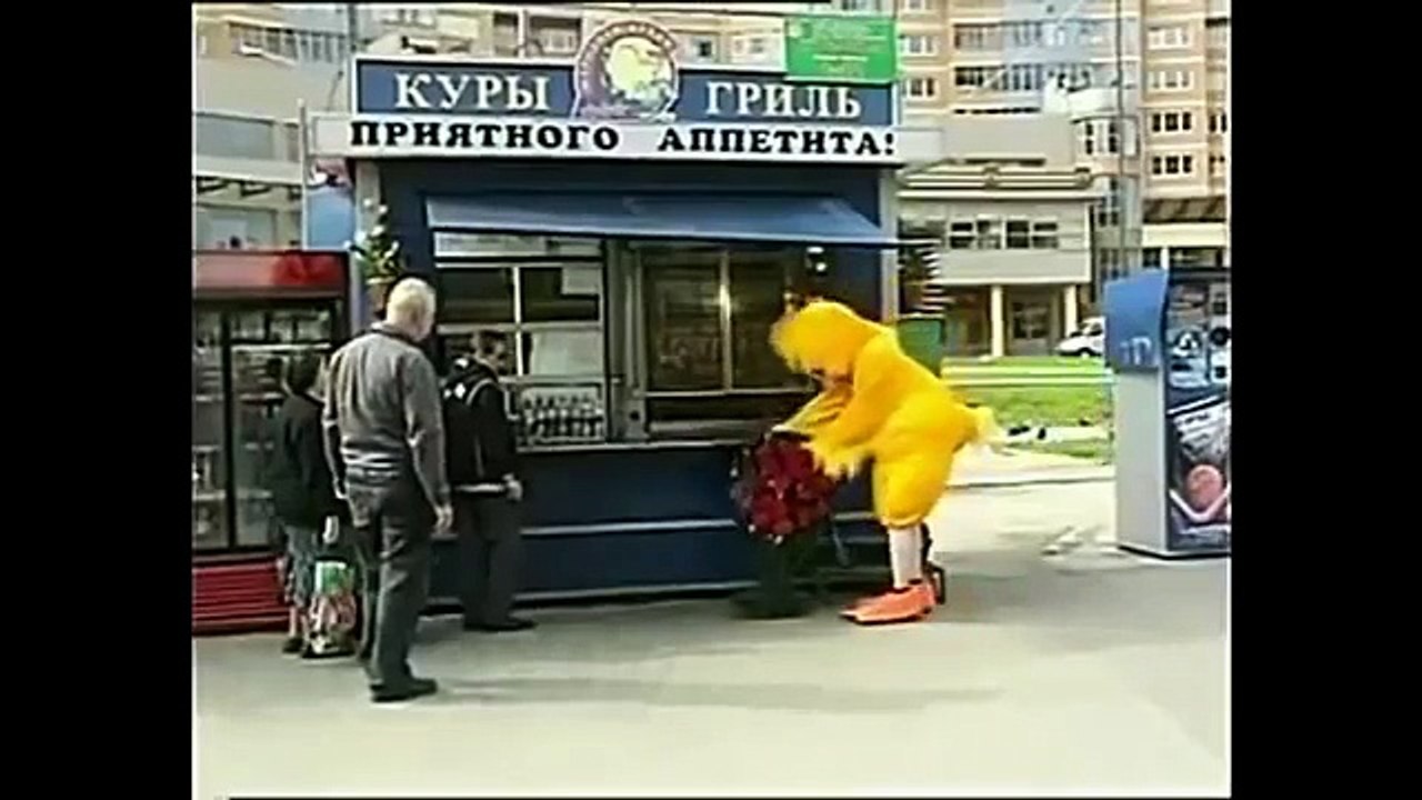 A selection of jokes funny moments of humor! Funny and jokes videos