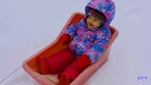 Los niños les encanta trineo. Niños divertidos invierno