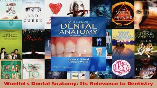 PDF Download  Woelfels Dental Anatomy Its Relevance to Dentistry PDF Online