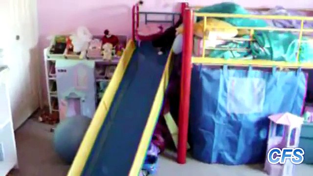 Животные на детских горках. Смешные животные катаются с горок