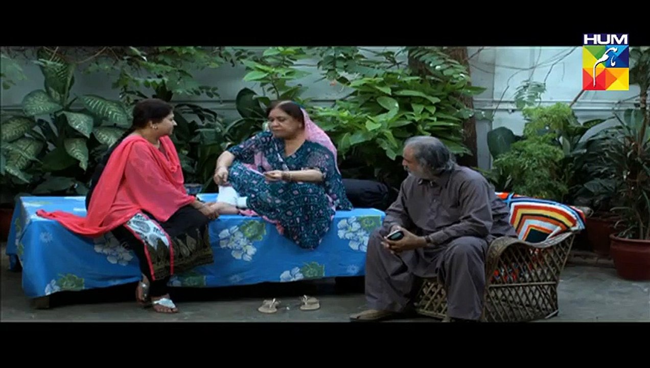 Tum Mere Paas Raho Last Episode 20 on Hum Tv in High Quality