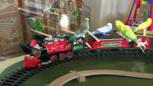 Nhạc Thiếu Nhi Sôi Động - Chim Vành Khuyên