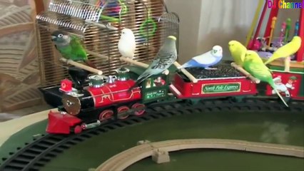 Nhạc Thiếu Nhi Sôi Động - Chim Vành Khuyên