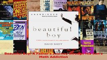 PDF Download  Beautiful Boy A Fathers Journey through His Sons Meth Addiction Download Full Ebook