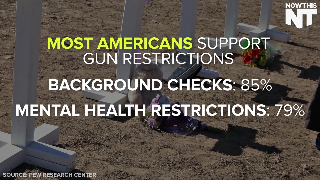 The NRA, Money, And Political Cowardice Stand In The Way Of Gun Reform