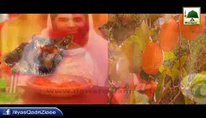 japani phal (amlok) k fawaid