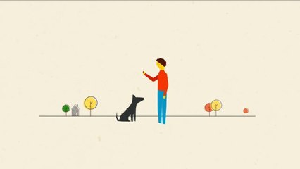 Think Like a Tree - How a Dog Inspired Velcro and a Bat Inspired Radar