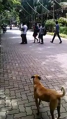 Two Boys Trap in Accident While Performing a Stunt