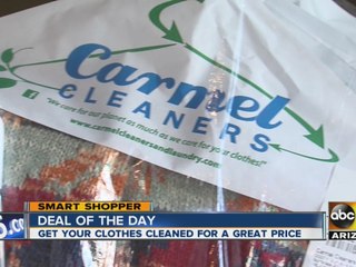 Smart Shopper Deal of the day