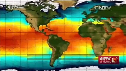 Phénomène climatique : la biodiversité marine change sous l’effet d’El Nino