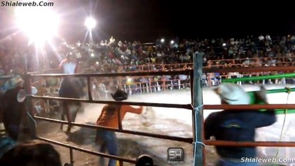 JARIPEO RANCHERO EXTREMO EN EL RANCHO LA MISION DE HUGO FIGUEROA TOROS SALVAJES Y JINETES HEROICOS NOVIEMBRE 2015
