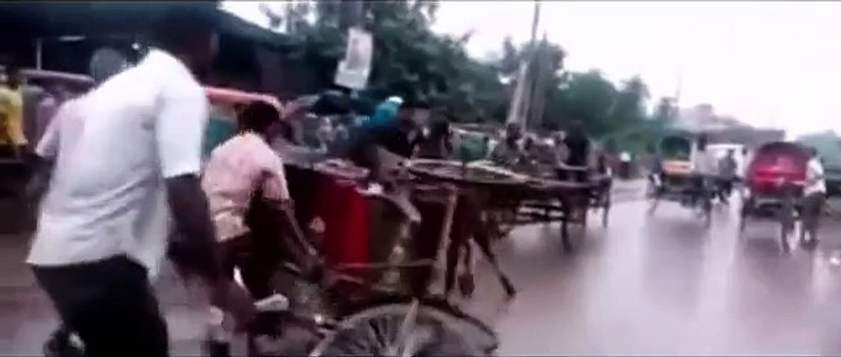 - Bangla Funny Video Clips Pustogula Crazy Mad Cow-C2DgHYQpCAg