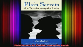 Plain Secrets An Outsider among the Amish