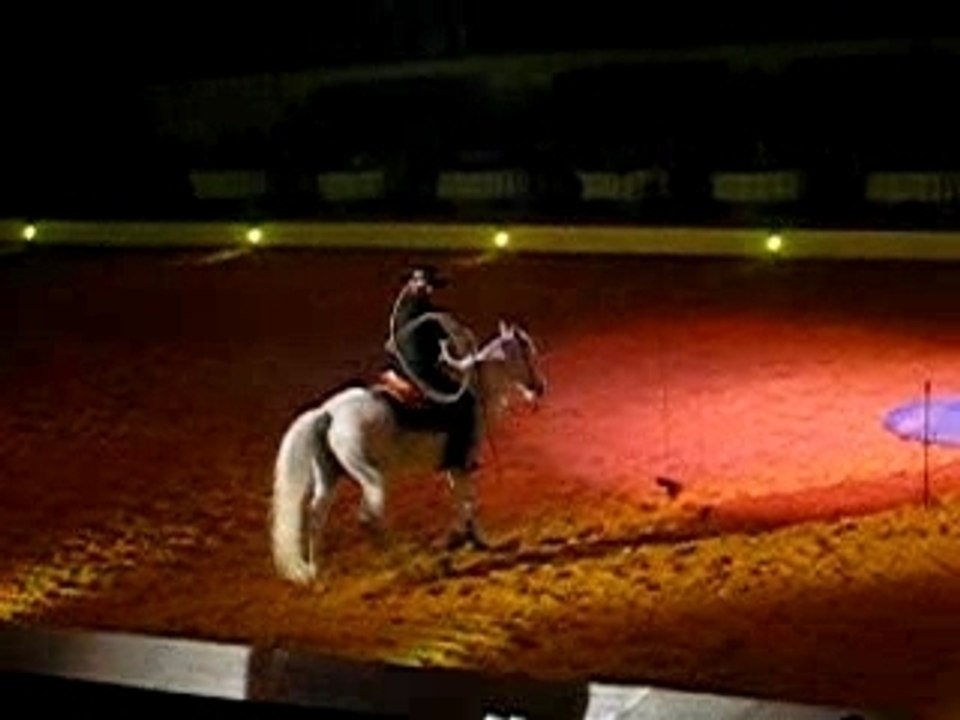 Cowboy Show