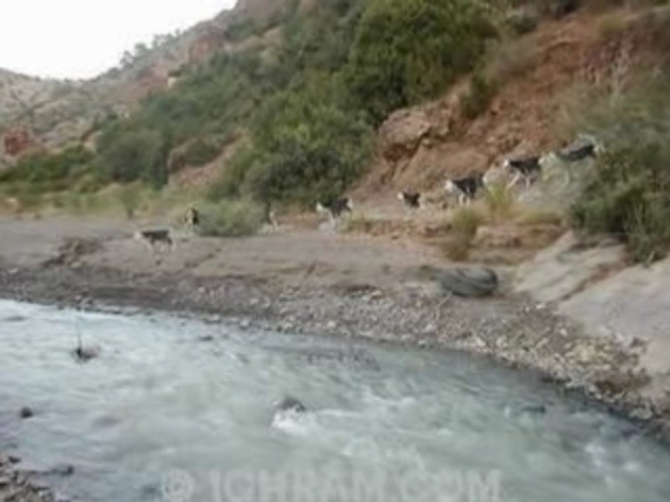 Oulahlou - Marguerite-Taos Amrouche