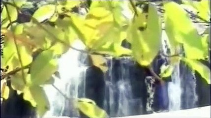 Jacky Rapon - Fallait Pas