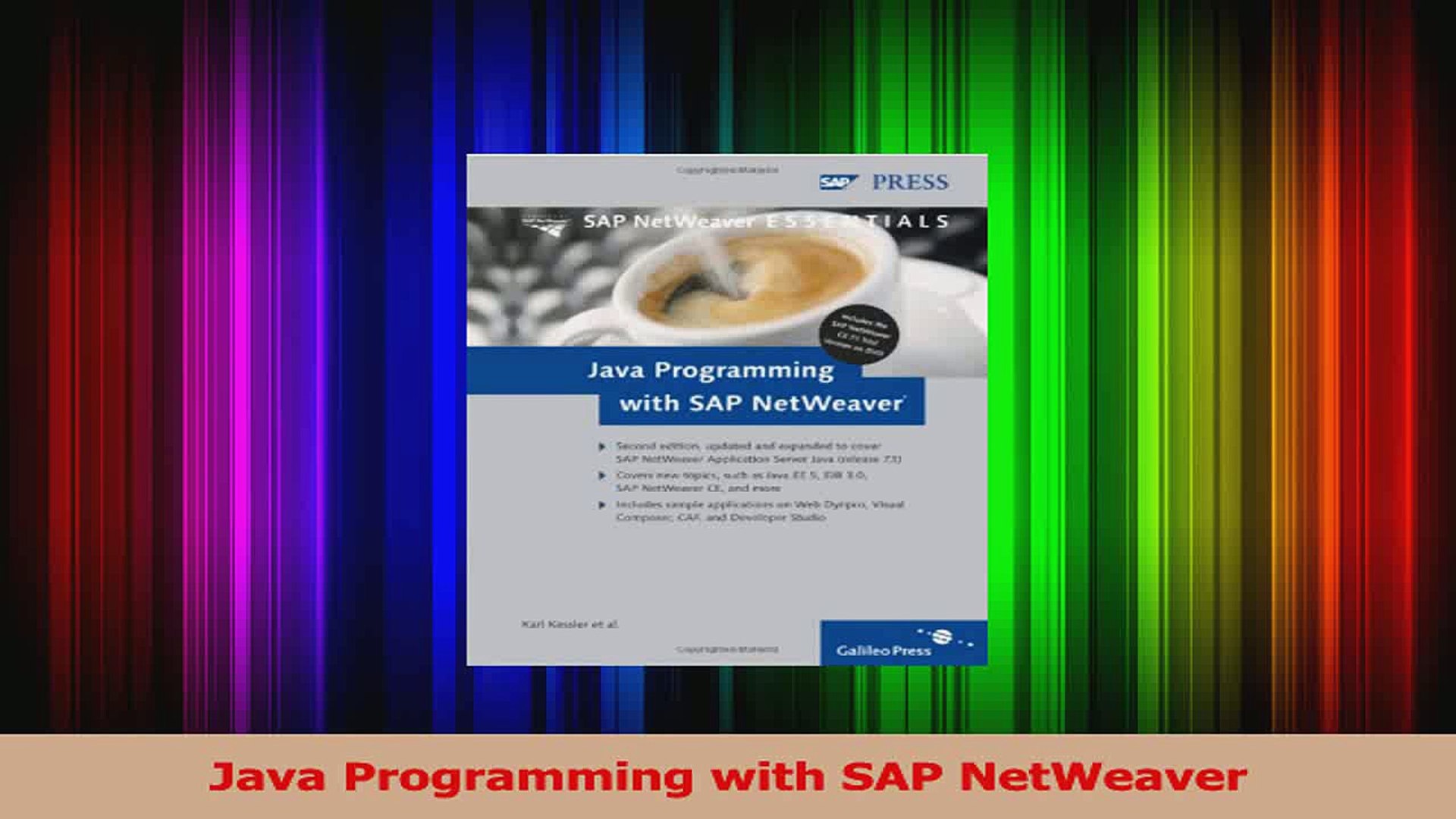 Download  Java Programming with SAP NetWeaver PDF Online