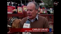 Profesora salvó a burro que era vendido para ser faenado CHV Noticias