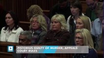 Pistorius guilty of murder, appeals court rules