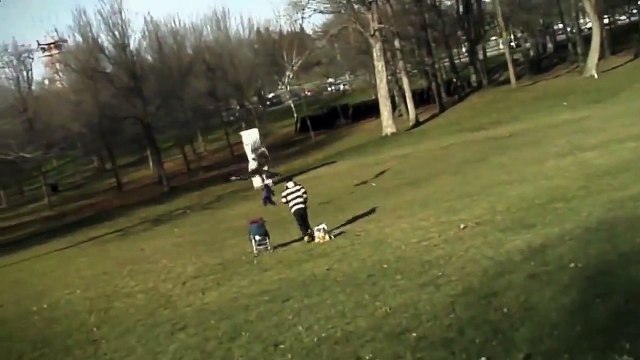 Орёл чуть не унёс ребенка. Жесть