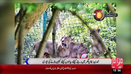 92Seconds –  03 Dec 15 - 92 News HD