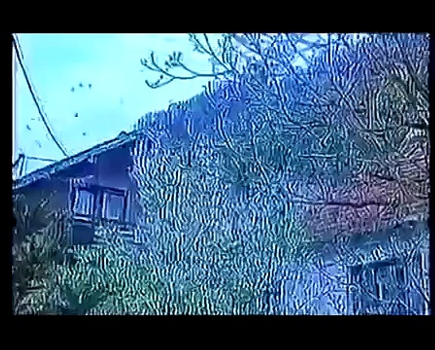 il Piu Bel Docu Mai Visto  (1)