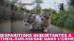 Disparitions inquiétantes de chats à Theil-sur-Huisne dans l'Orne ! Enquête dans la minute chat #57