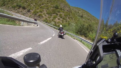 CapoRencontre 2015 - Jour 2 - N 260 La molina (fin ... sniff)