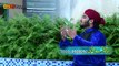 Wird Pakka Tu Allah Da (Hamd) -  Qari Muhammad Usman Ghani - New Naat [2016] - All Video Naat