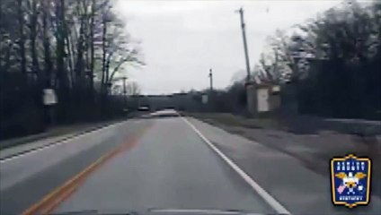 Un cerf percute une voiture et fait un vol plané