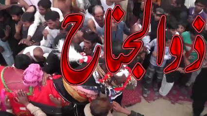 azadari in 508g.b 10-muharram 2015  zunjeer zuni at brambdgi shabeeh-e-zuljanah clip-01