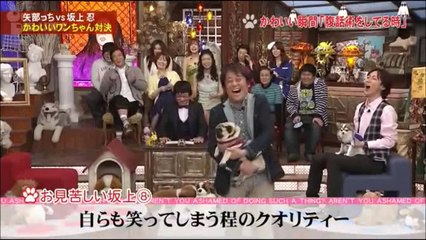 矢部浩之 vs. 坂上忍　かわいいワンちゃん対決③ かわいい瞬間対決