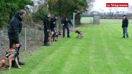 Cast (29). La formation des agents cynophiles au centre canin