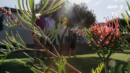 Australia riding coal train despite climate pleas
