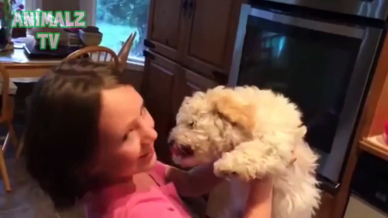 Funny And Cute Pets Long Compilation June 2015 [Full HD 1080p VIDEO]