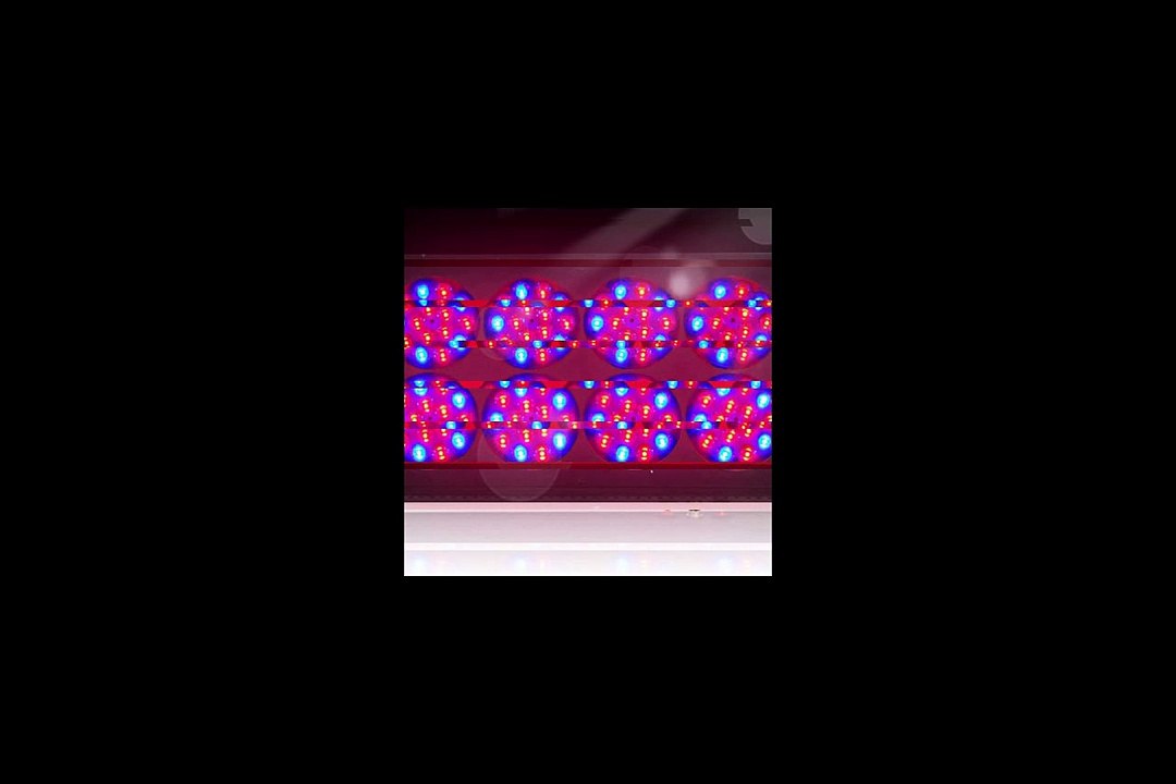 Ecoledgrowlight