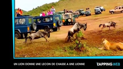 L’évasion très surprenante de prisonniers brésiliens