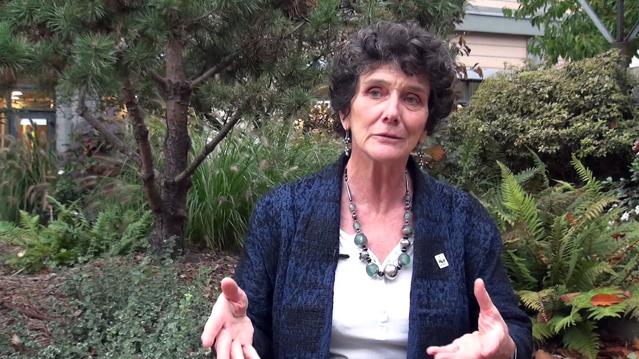 Isabelle Autissier : “Il faut faire en sorte que chacun se sente acteur”